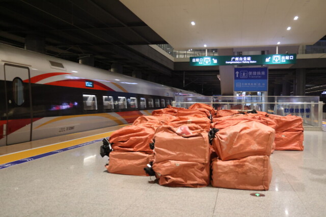Guangdong's fresh litchis head to China's central region via cold-chain high-speed train
