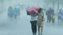 暴雨+大风,深圳天气黄色预警“两连发” 暴雨+大风,深圳天气黄色预警“两连发”