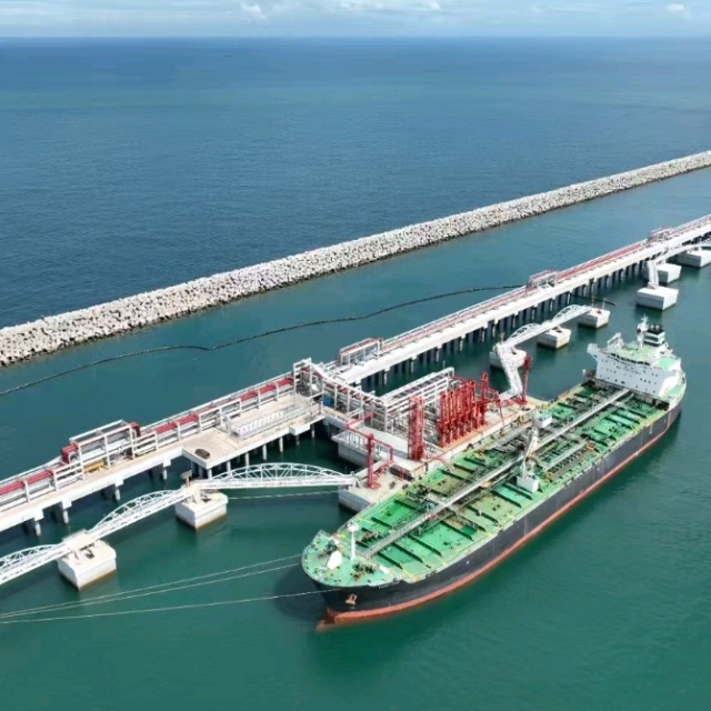 First foreign vessel berths at Maoming Port's Bohe New Port Area
