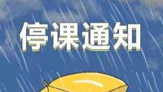 全市停课！湛江台风黄色预警生效