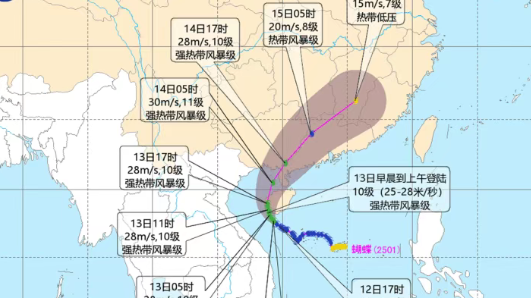 预警再升级！茂名多地发布台风黄色预警