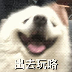粤省事_20240329_173457.gif