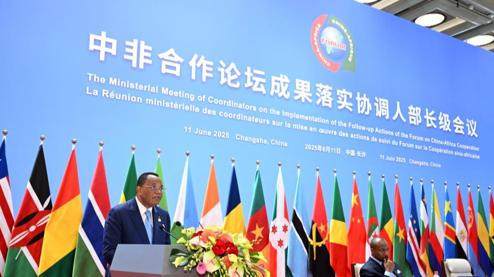 China, Africa push implementation of FOCAC Beijing Summit outcomes