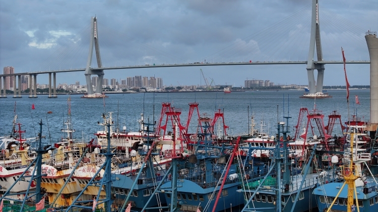 台风“蝴蝶”逼近，湛江渔民加固船只抵御台风