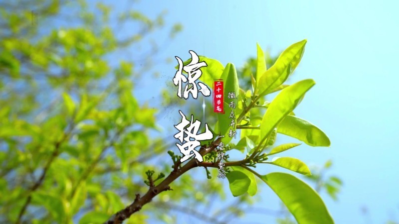 云视频丨惊蛰到，春雷响，万物长！