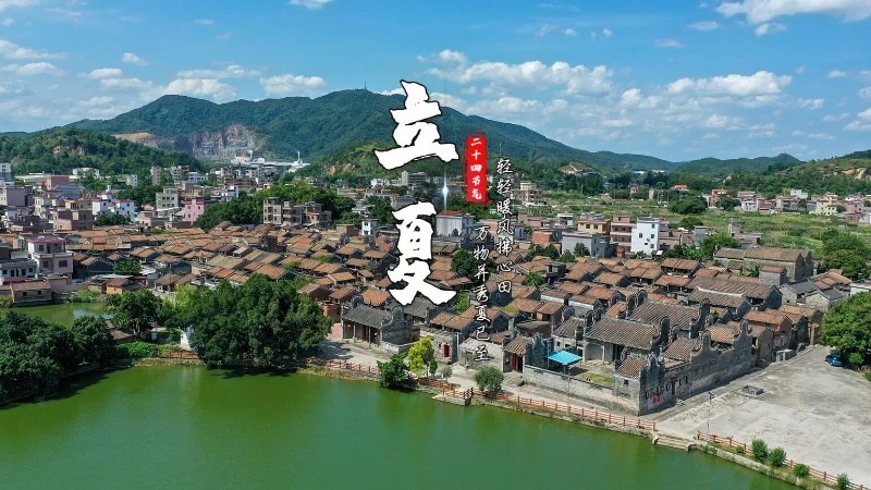 立夏 | 轻轻暖风拂心田 万物并秀夏已至
