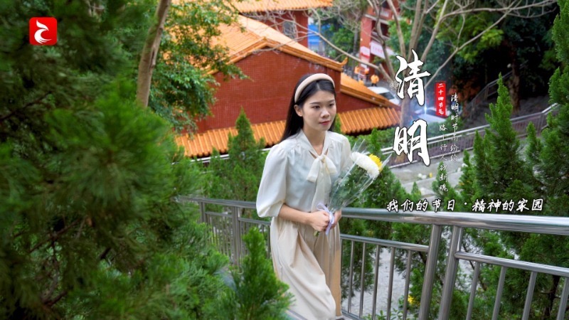 网络中国节·清明丨气清景明 万物皆显