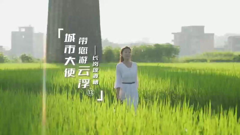 《城市大使带您游云浮》第十三集 走进“广东红旗渠” 读懂文物里的红色基因