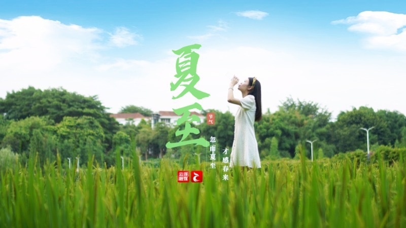 人间六月天 花开半夏 夏至已至
