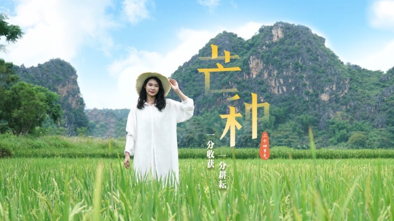芒种丨一分耕耘 一分收获