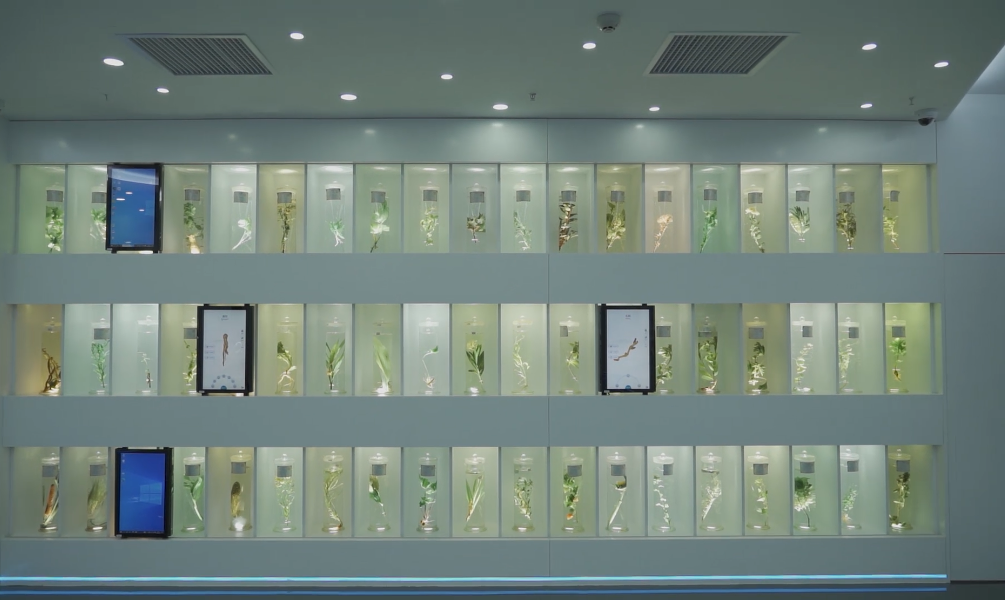 广东省药品检验所(总部)中药标本馆一角