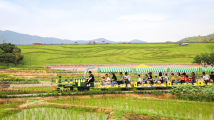 110家消费新场景!首批“广州文旅消费新场景”推荐名单出炉 110家消费新场景!首批“广州文旅消费新场景”推荐名单出炉