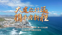 习近平主席出席金砖国家领导人第十五次会晤并对南非进行国事访问纪实 习近平主席出席金砖国家领导人第十五次会晤并对南非进行国事访问纪实