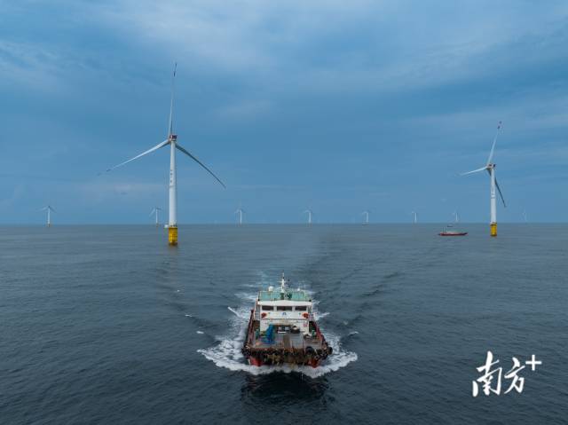 风电运维船只在海面上迎风破浪，穿梭于各个风车之间，时刻保障发电设备正常运行 