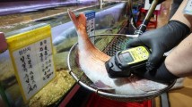 疯抢核辐射检测仪:有人测海鲜、有人测化妆品 疯抢核辐射检测仪:有人测海鲜、有人测化妆品