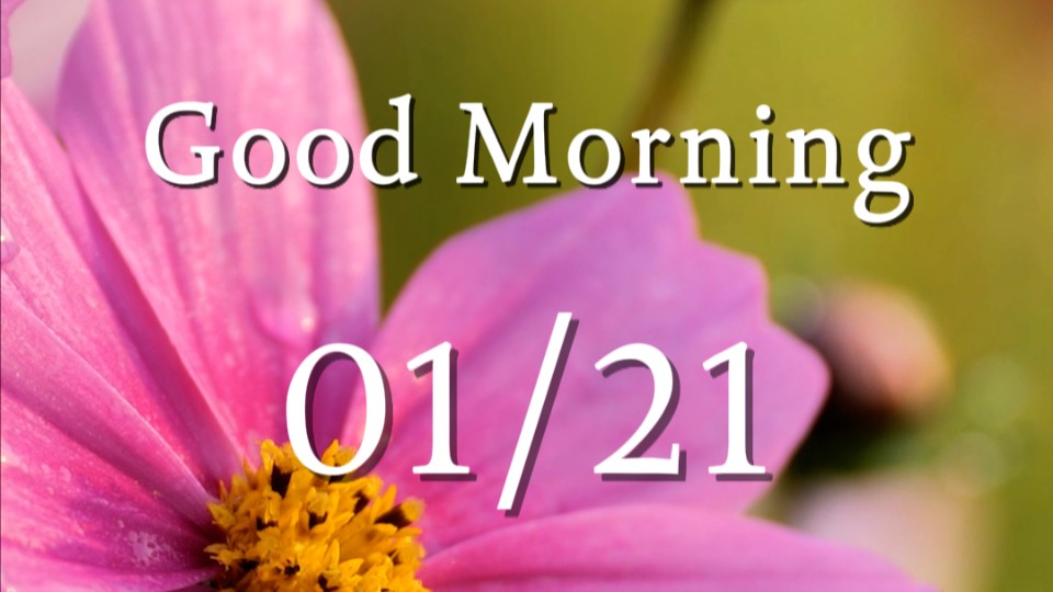 Warm sun, gentle breeze, and land with flowers in full bloom