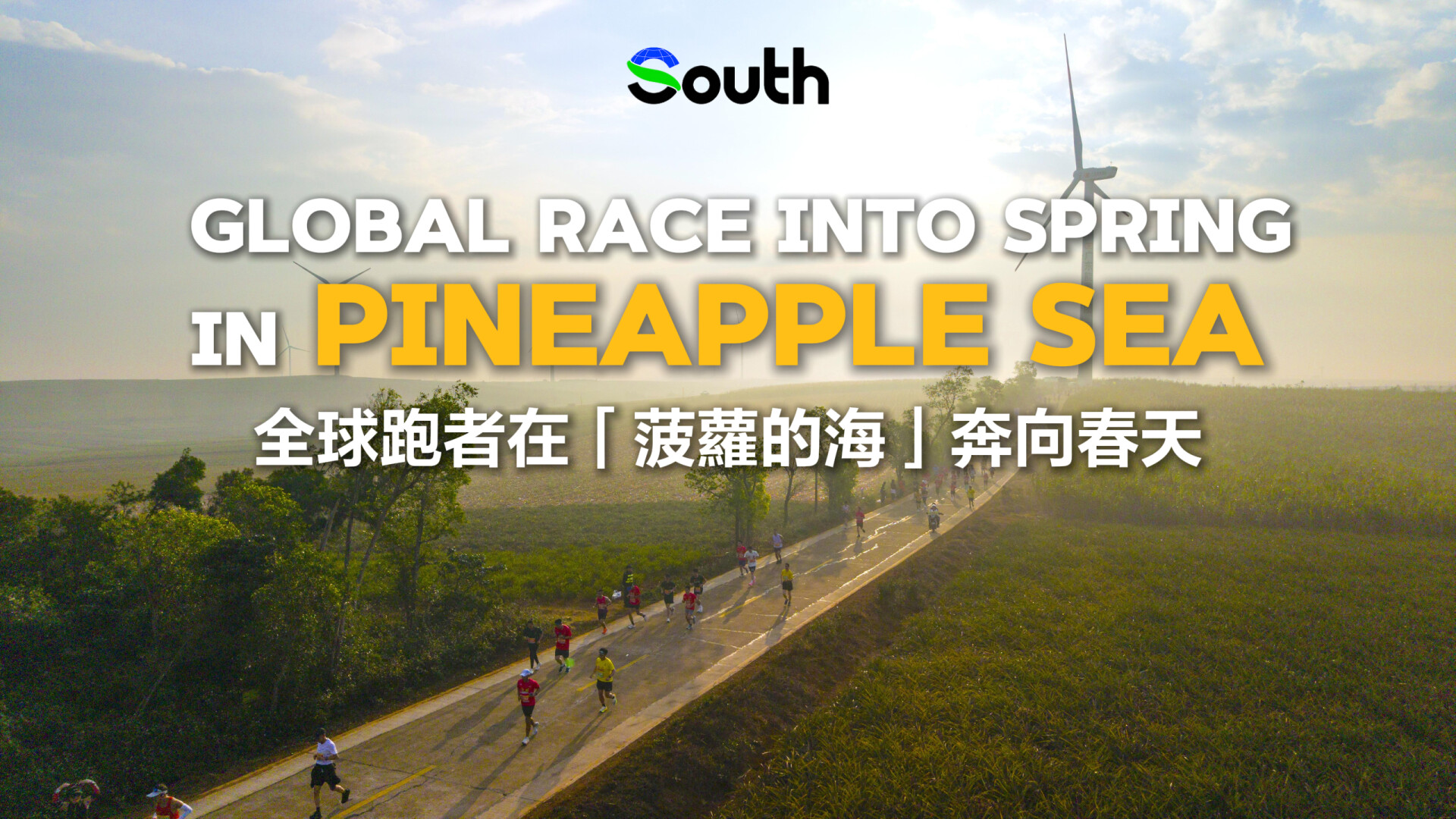 Xuwen Marathon: Global race into spring in Zhanjiang's "Pineapple Sea"