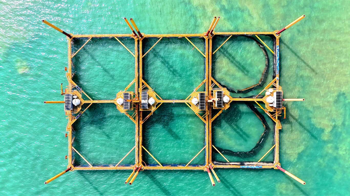 Artificial reefs part of successful marine conservation efforts in Guangdong