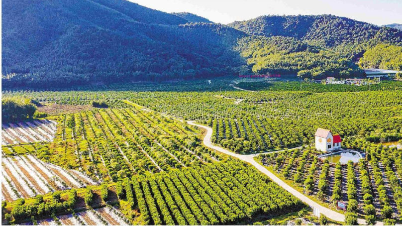 过去一年，广东省人大常委会制定修改法规、决定项目19件，开展监督工作33项