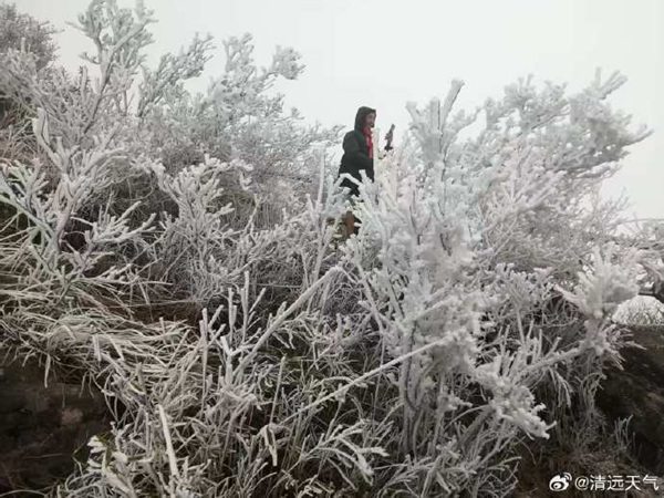 21日早晨，粤北山区现冰冻天气。（来源：@清远天气）