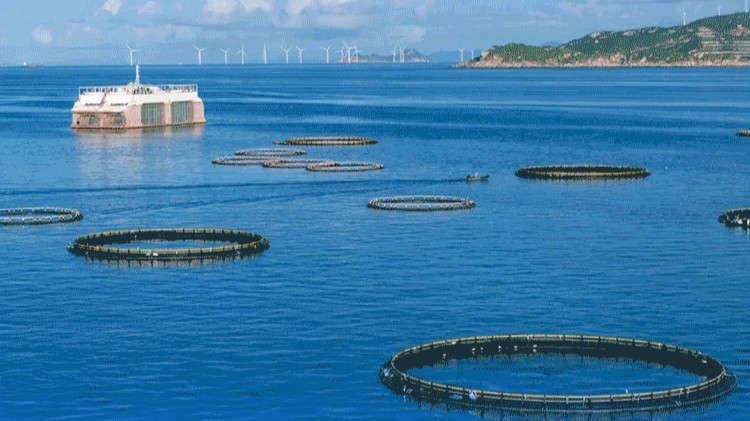 数览2025广东财政“账本”⑥｜深入推进海洋强省建设