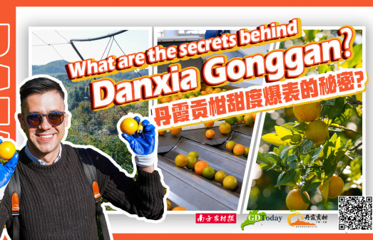 Rafael’s Vlog | What are tech secrets behind Danxia Gonggan