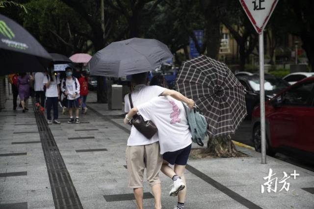 南方+ 李细华 拍摄