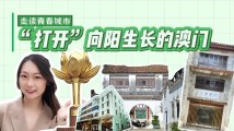 走读青春城市:“打开”向阳生长的澳门 走读青春城市:“打开”向阳生长的澳门