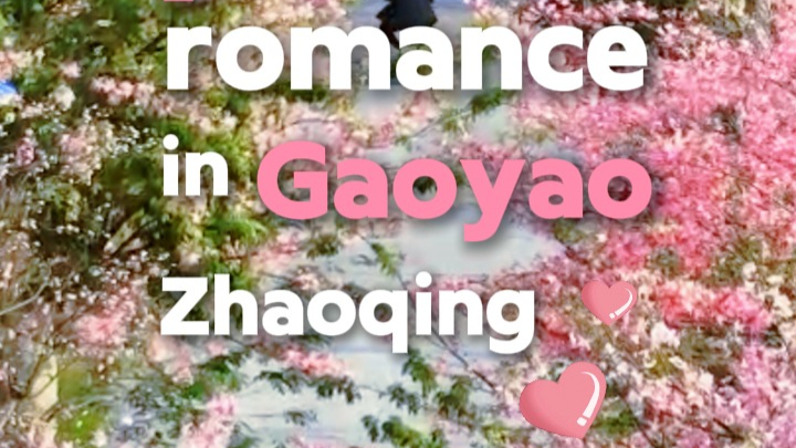 Encounter the pink romance in Gaoyao, Zhaoqing