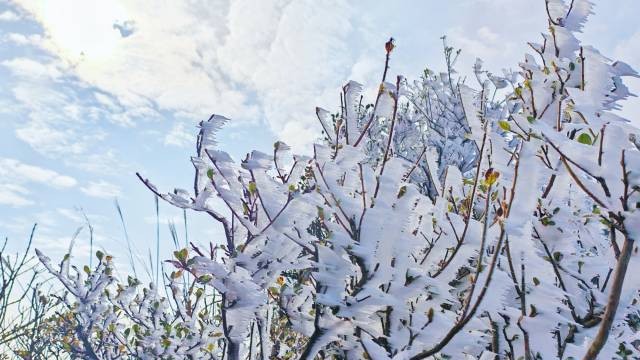 Discover the splendor of snow and ice without going out of Guangdong