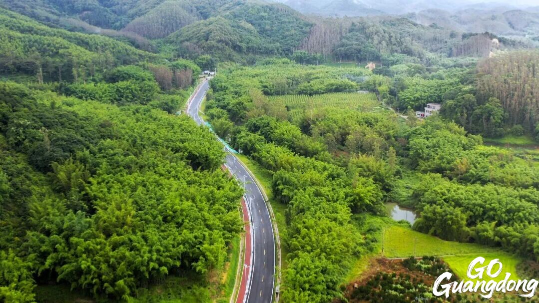 Huizhou Scenic Highway: Nature's wellness fuels community prosperity