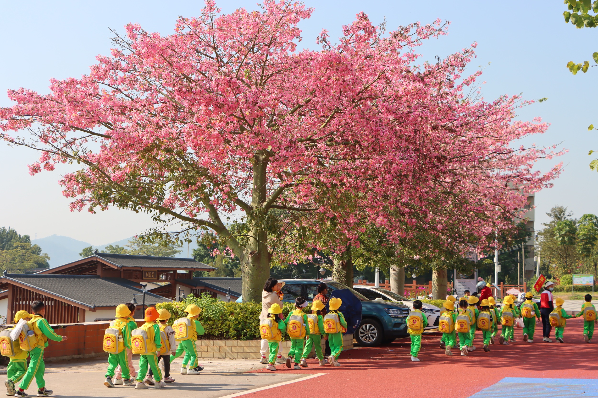 郁南：冬日里的“成长风景线”