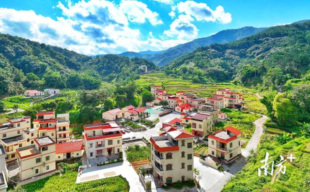 南方日报报道丨云城：产业聚势 发展提速丨百千万赋能 再造一个新云浮