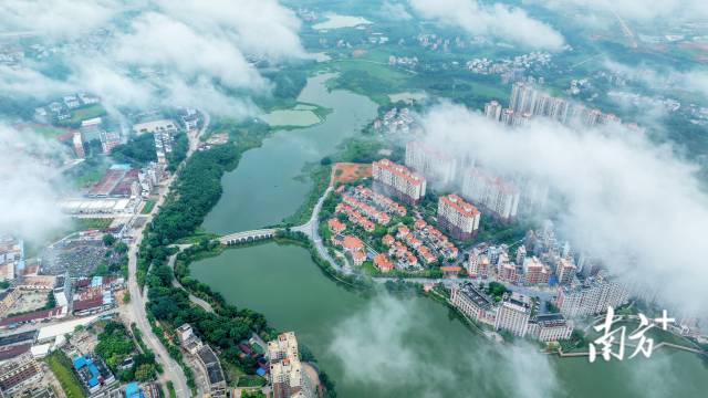 南方日报报道丨郁南：产业向上 文化出圈