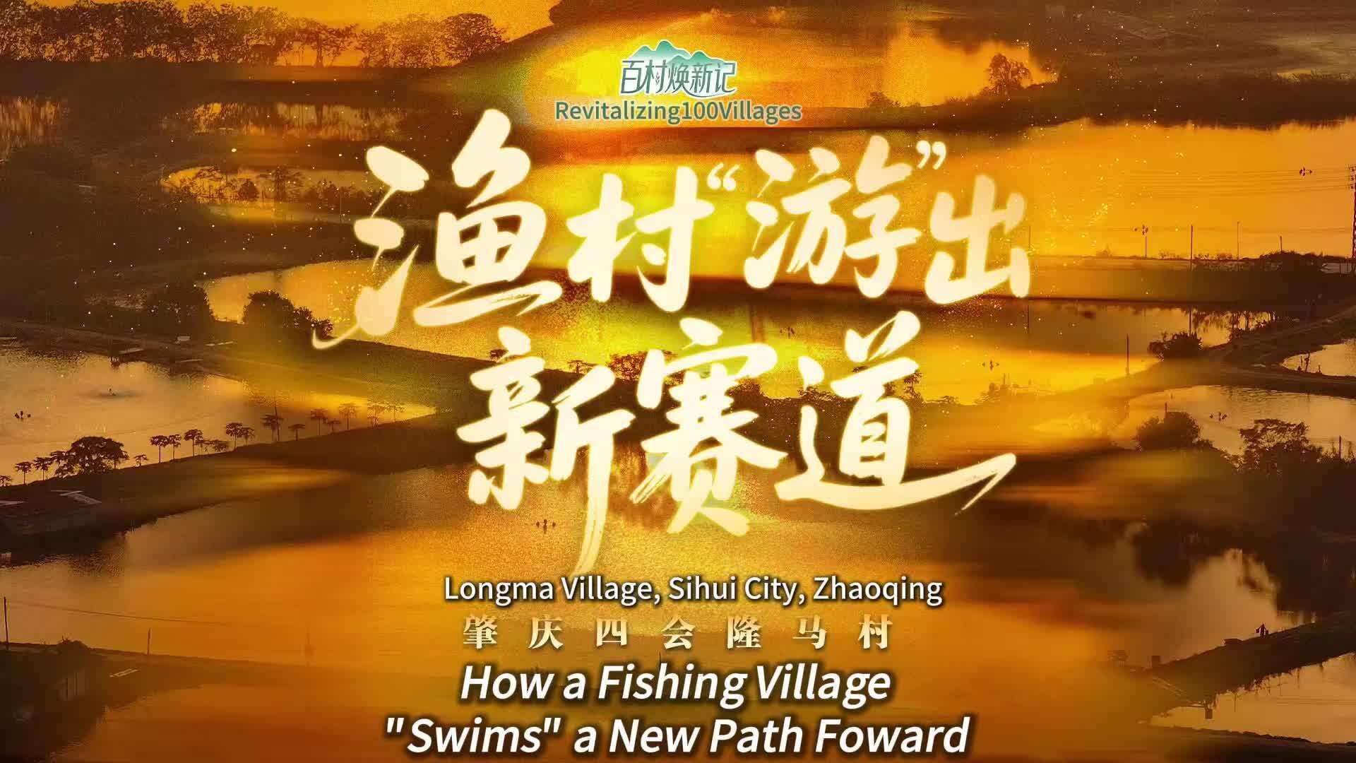 Longma Village, Sihui City, Zhaoqing: How a Fishing Village "Swims" a New Path Foward |Revitalizing 100 Villages