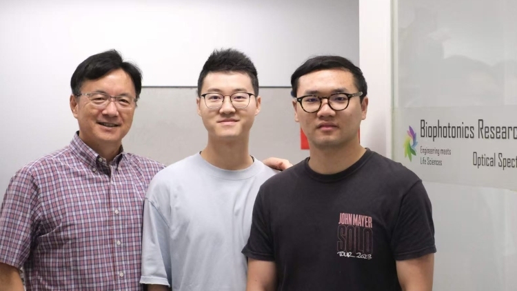 港科大学者开发新脑成像技术，不用麻醉也能观察生物大脑活动