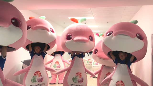 Mascot "social butterflies" steal shows at China's 15th National Games