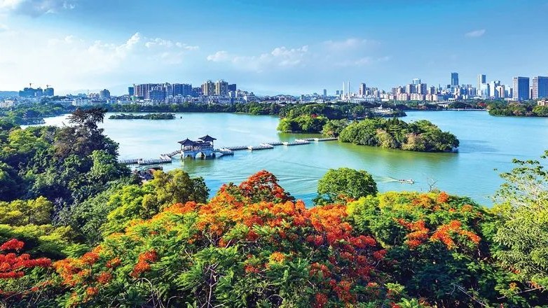 从一场赛事到一种生活，惠州“滑”出城市青春活力！