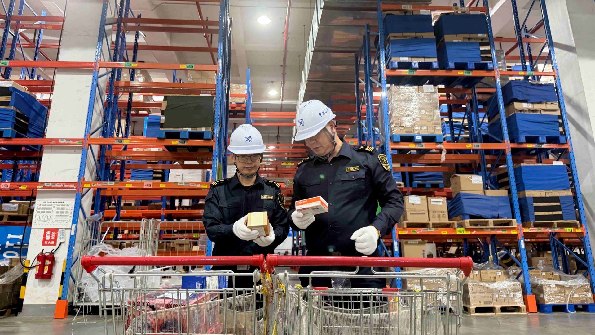 Guangdong's foreign trade up 3.7% in first 10 months of 2025