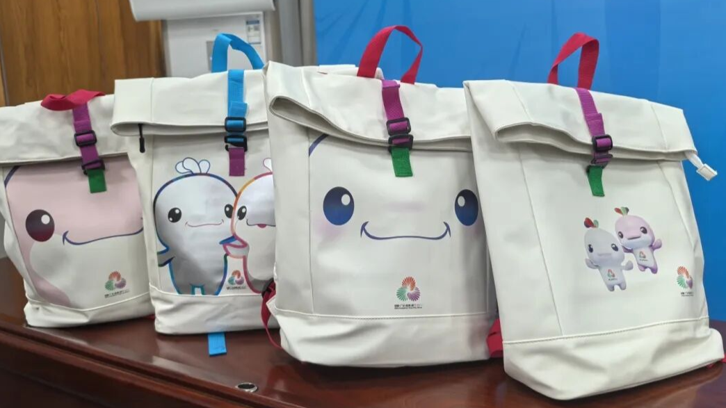 全运会开幕式上的“显眼包”出圈，网友大呼“想要”