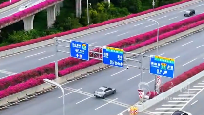 有一种浪漫叫广东的高架桥！北方网友可太羡慕了~