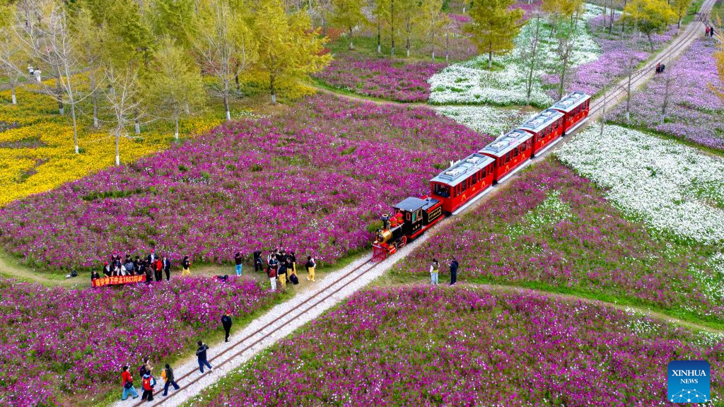 Early winter scenery in China