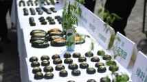 清明节的冷知识:如何从节气变成节日? 清明节的冷知识:如何从节气变成节日?