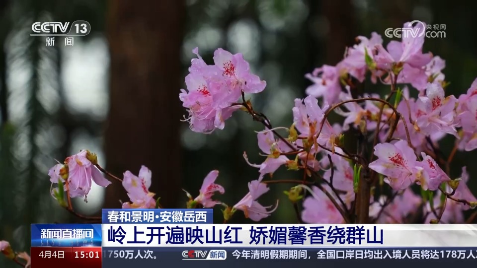 山河锦绣春意浓 航拍镜头中感受春天里的中国