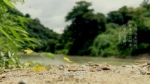 清风·传承 | 清明:气清景明 慎终追远 清风·传承 | 清明:气清景明 慎终追远