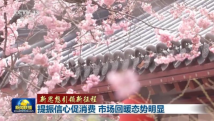 新思想引领新征程|提振信心促消费 市场回暖态势明显 新思想引领新征程|提振信心促消费 市场回暖态势明显