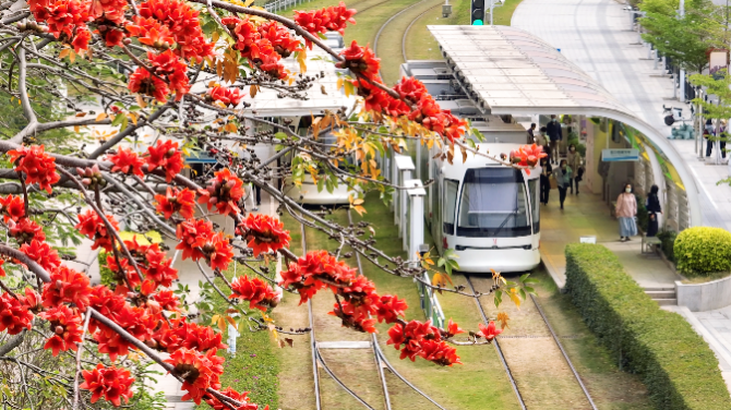 花城文学院成立