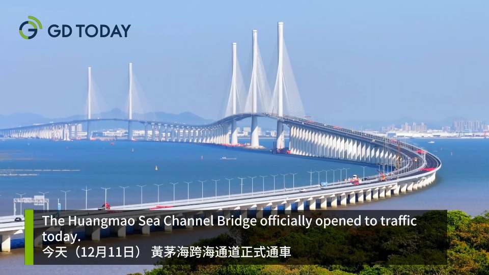 Huangmao Sea Channel Bridge opens today, key horizontal passage added to GBA transport network