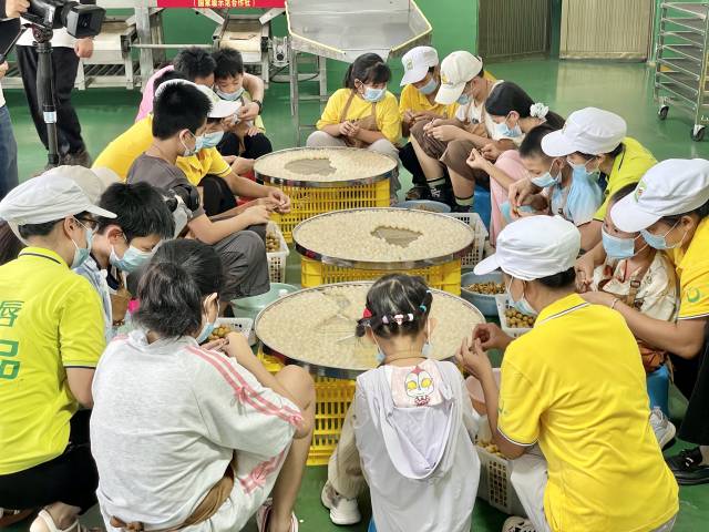 研学团的学生在体验挖龙眼。