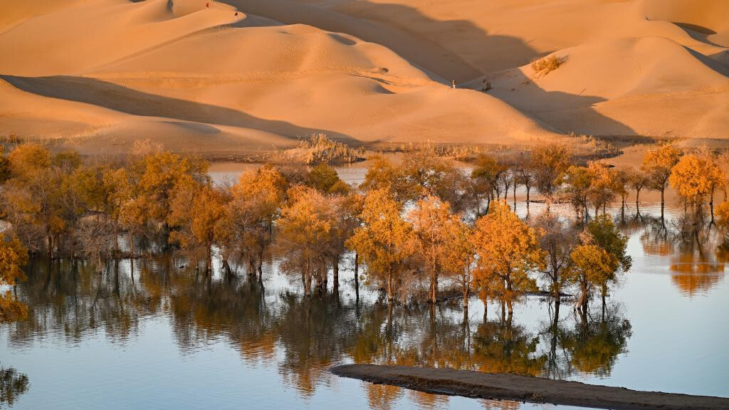 Autumn scenery attracts tourists in NW China's Xinjiang